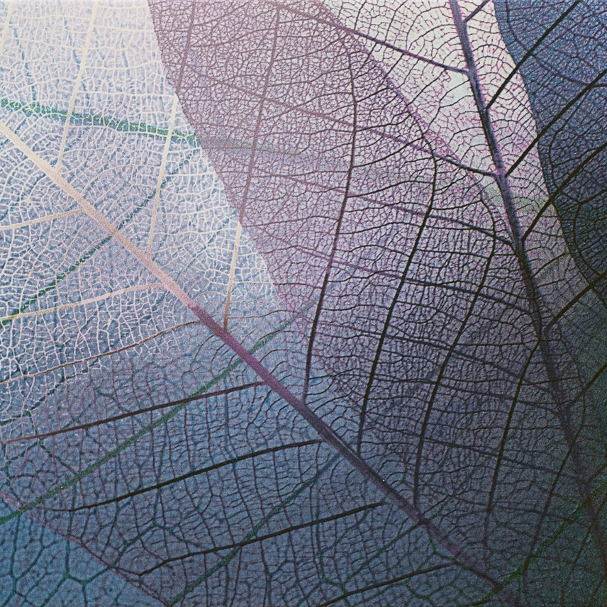 sessuologa-psicoterapeuta-reggio-emilia-sassuolo sessuologa-psicoterapeuta-reggio-emilia-sassuolo